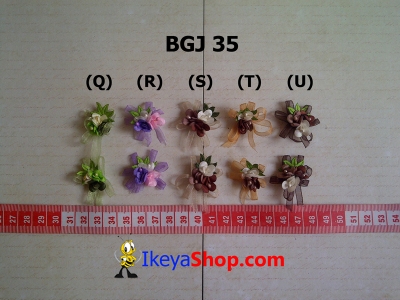 BGJ 35 Q-U large2.jpg